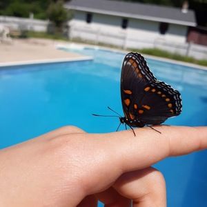 Meet your Posher, Holly